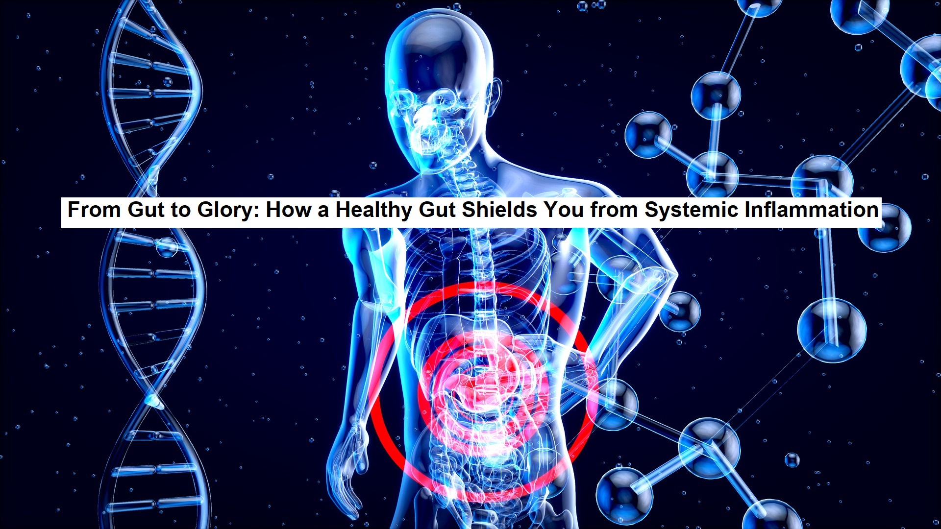 From Gut to Glory: How a Healthy Gut Shields You from Systemic Inflammation