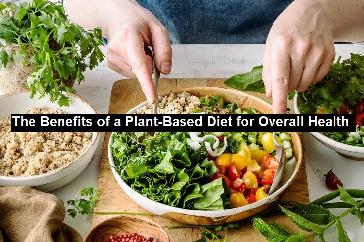 Plant-Based Diet